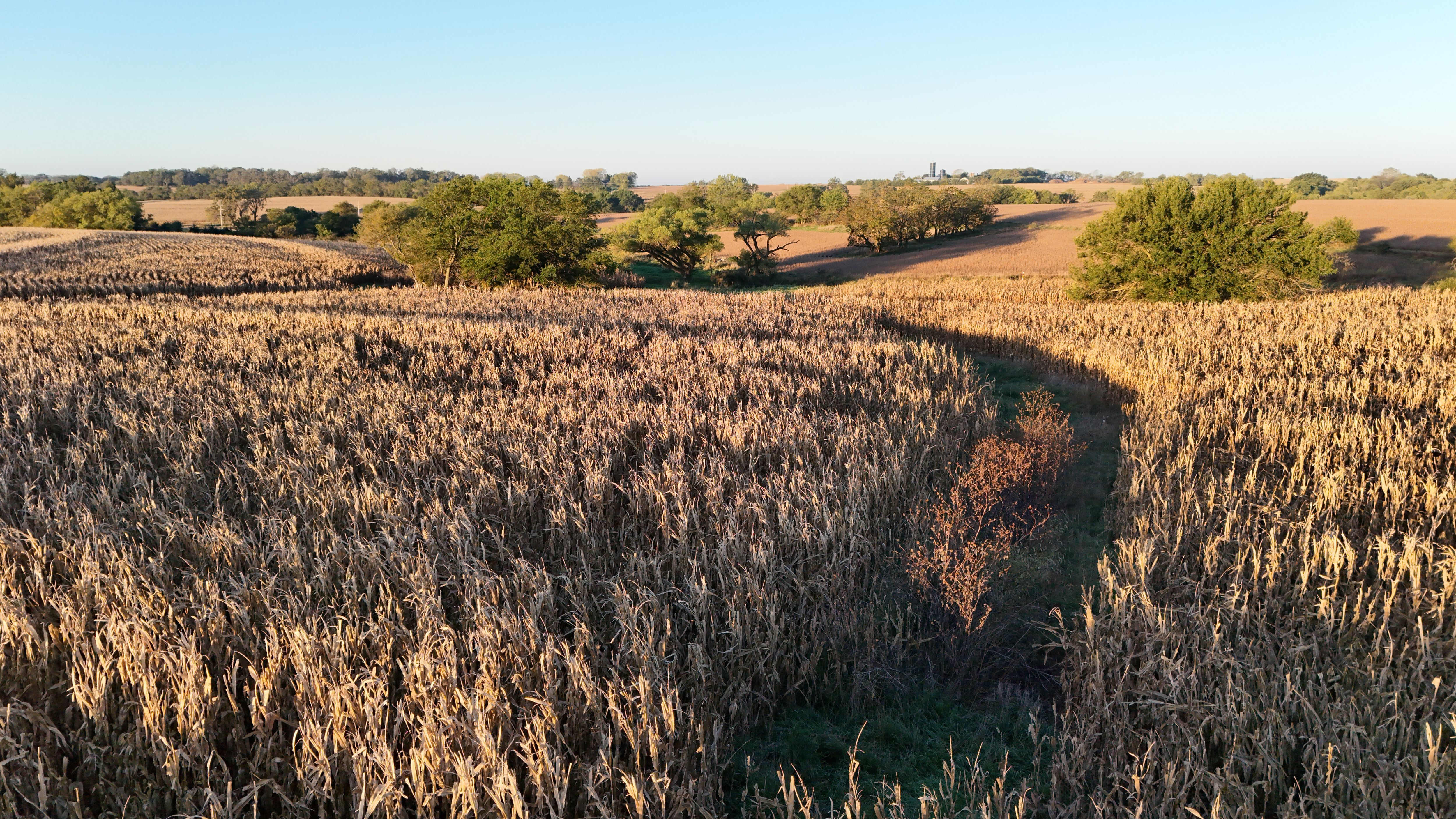 Listing Photo: lancaster-county-ne-125-acres (19)